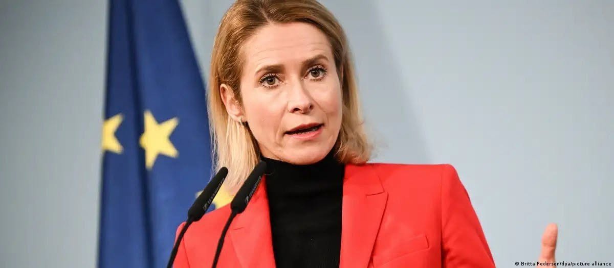 stupida